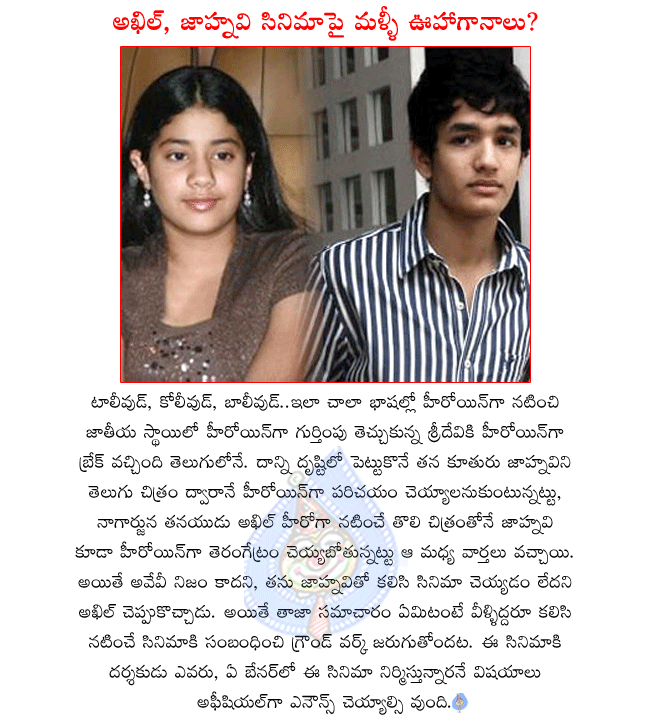 nagarjuna son akhil,sridevi daughter jahnavi,sridevi wants to introduce her daughter in telugu film,akhil and jahnavi combo movie will start soon,another akkineni hero introducing as hero  nagarjuna son akhil, sridevi daughter jahnavi, sridevi wants to introduce her daughter in telugu film, akhil and jahnavi combo movie will start soon, another akkineni hero introducing as hero